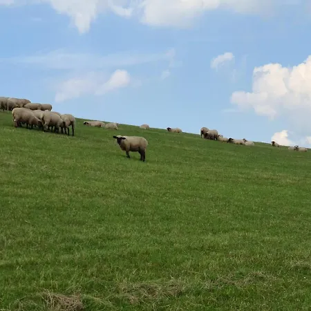 Haus Petit Chateau Semesterbostad *